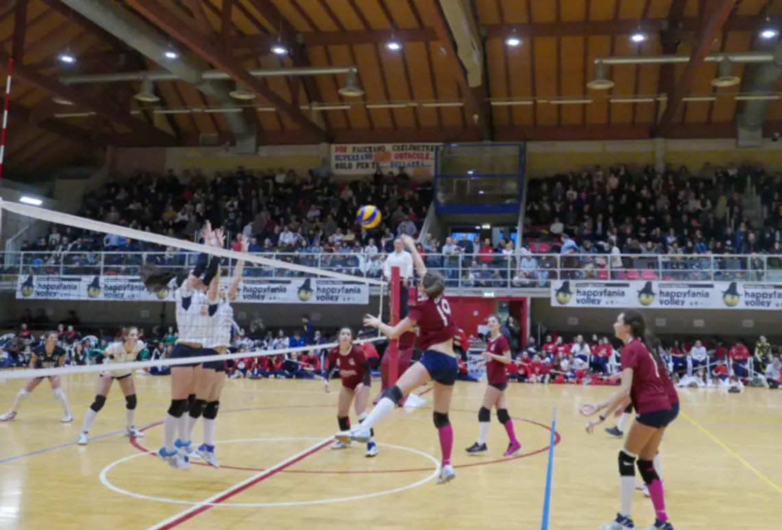 HAPPYFANIA VOLLEY 2017 HAPPYFANIA VOLLEY 2017